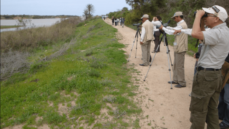Agadir biring tours