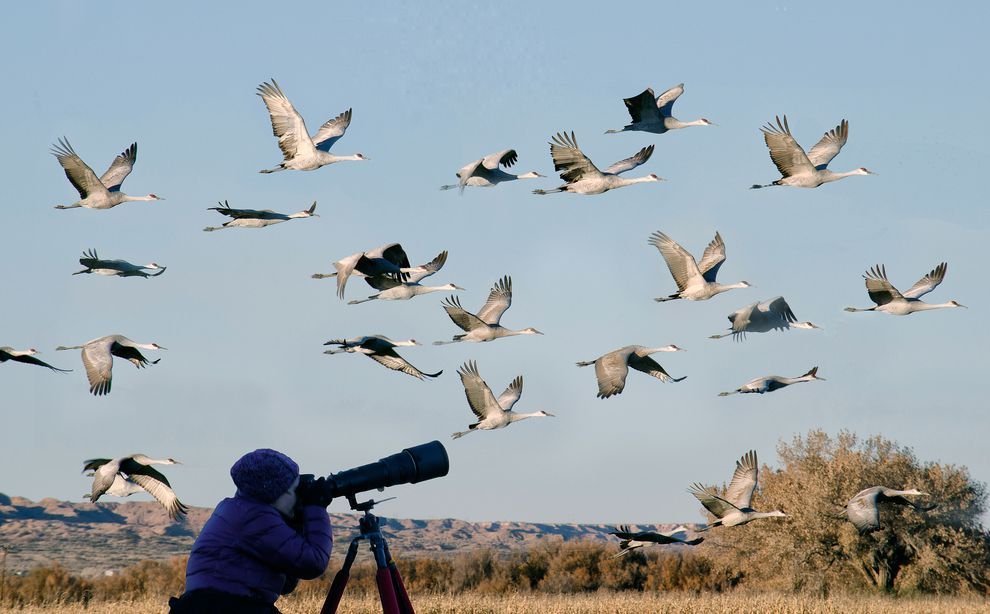 agadir birdwatching tours