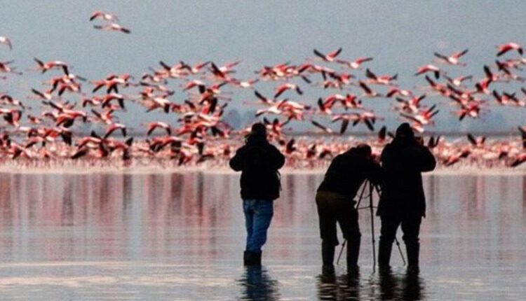 agadir birdwatching trip